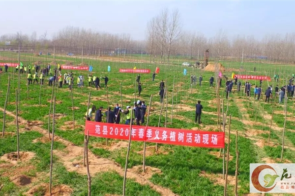 范縣開展春季義務植樹活動！一萬余名干群共栽種樹木3萬余株，面積達600余畝！