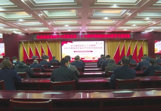 范縣政法系統舉辦學習貫徹黨的二十大精神暨廉潔政法建設專題講座