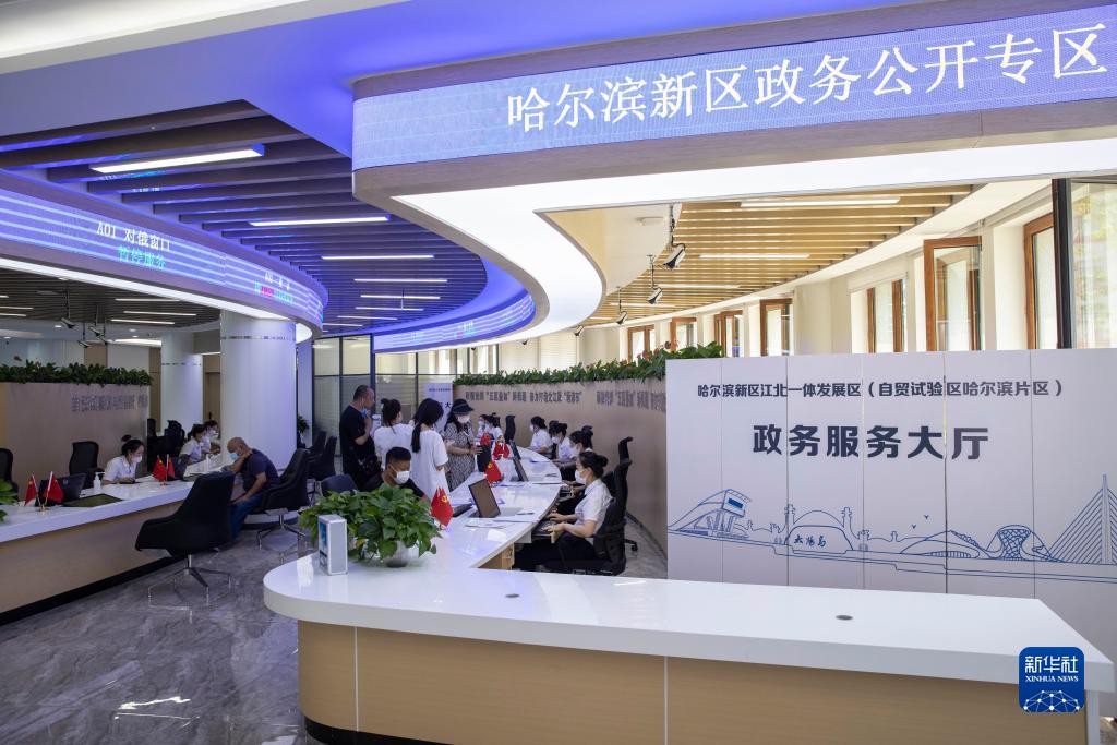 在黑龍江省哈爾濱新區江北一體發展區(自貿試驗區哈爾濱片區)政務服務大廳，市民在辦理業務（2022年7月12日攝）。